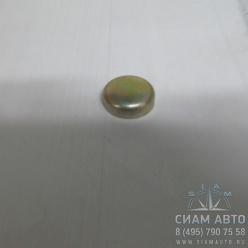 Заглушка головки блока D=22mm / 01165828 (80129) Заглушка головки блока D=22mm / 01165828 (80129)