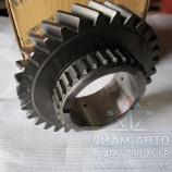 Шестерня 3-ий передачи вторичного вала XML6720 EQB125-20 31z (20215) Шестерня 3-ий передачи вторичного вала XML6720 EQB125-20 31z (20215)