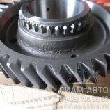 Шестерня 2-ой передачи вторичного вала XML6720 EQB125-20 (20213) Шестерня 2-ой передачи вторичного вала XML6720 EQB125-20 (20213)