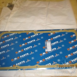 ��������� ������� ������� (EWP) �����. V8 1x \MB OM402/LA Euro I/ 422 (�00507)