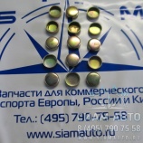 Заглушка ГБЦ 22,5 мм / 3920706 (С00839) Заглушка ГБЦ 22,5 мм / 3920706 (С00839)