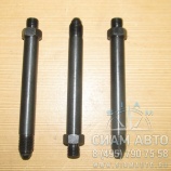     (  ) 4439700320 443 972 626 478 (10811)