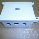 ���� ������ (�������) XML6129 (20193)