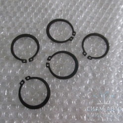 ������ ��������� ���� ������. ���. (20614)