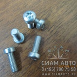   0295 9523D / M6X25MM / 0211 2403 (80560)