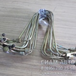 ������ ��������� �������� �������� ���� [341-060210] [2076612334] /�-�� 10 ���. (11193)