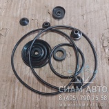 �/� ��� (��������� �������� �������) (10820)