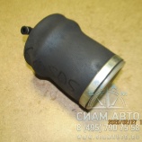 ������������� ������������� ������� �������� 1S0517 (30509)