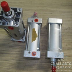 ������� �������� (20568)