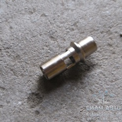   / 2053460184 (11081)