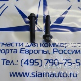 Болт головки шатуна / ISF 3.8 / 4891179 (С00838) Болт головки шатуна / ISF 3.8 / 4891179 (С00838)