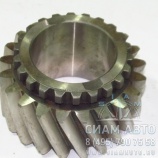 �������� �������� �����. 21/22 ���. [341-211149] [2017280294] (10487)