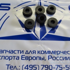   / 4899239 (00837)