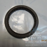  68868  /   Hardy CK1000 100N2-077 (00098)