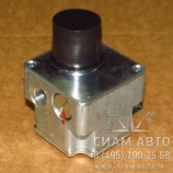 ����� ��������� (141.8601) (144.8106) (60872)