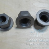 ����� �������� � ����� /  89-02079 - SX / 1365510 / ������ (91161)