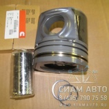 ������� �������� ����4 ISle 4995845 (�00961)