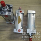 ������� �������� (20568)