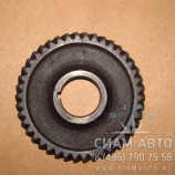 Шестерня коленвала большая (Д-245.7) (60945) Шестерня коленвала большая (Д-245.7) (60945)