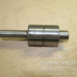 ��� �������� ������ (���00041)