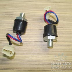 ������ ��������� ���� �������� (40379)