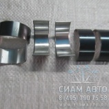 ������� ���.����������� 01180656 / D=37/33mm, H=17mm / ���� (80220)