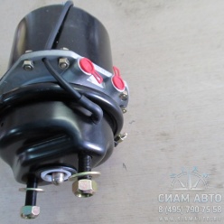 ������� ����. ������ / ����� (40878)