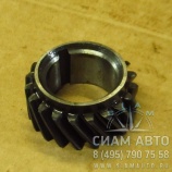 �������� ��������� ����� (�-245.7) (60883)