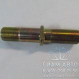     XML6129 (20445)