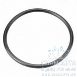 ������ ���. / 4420110059 (�00008)