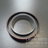  60x85x12 /  CY4102BZLQ (20507)