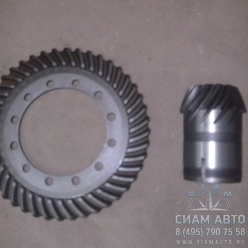 �������� ���� ������ (��������) [341-310310] / 442072850374 (10861)