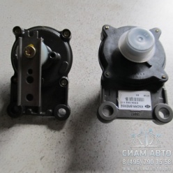 ���� (������) ������ ���� (91374)