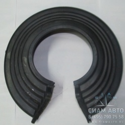 ����� �������� ������ ������� (10431)