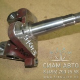 ����� ����� (91643)