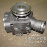 ����� ������� / 126-822 (���00070)