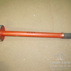 ��� ������� ����� (�������) / 2020510324 (11180)