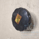 ������ ���� / XML6957 (20703)