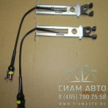 ������ ������ ������� �� XMQ ������ ���� (41696)
