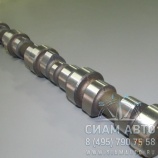 ��� ����������������� 3970366 6BT (�00368)