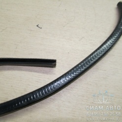    1  XMQ (40834)