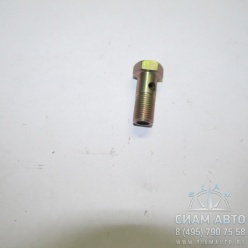 Болт полый / 312322002 / S6-90/80 (Z00018) Болт полый / 312322002 / S6-90/80 (Z00018)
