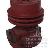 Насос водяной 245.7 Евро 2, 3 (с резьбой для масл.теплообм. ) 245-1307010А1-10 (61123) Насос водяной 245.7 Евро 2, 3 (с резьбой для масл.теплообм. ) 245-1307010А1-10 (61123)