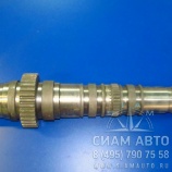 ��� ������� [2071080554] / ��� (10951)