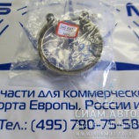 ����� �������� ( 83 ��) / 3415547 (�00849)