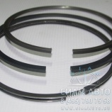 ������ ��������� R-1 (d=120,5), �����. �� 1 ������� / 9901006160/40/20 (10239)