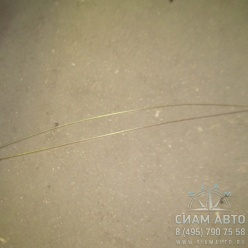 ��� �������� � ������������ ISDe 3287099 (�00933)