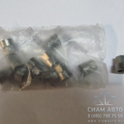 �/� �������� (�������� ���� 10��) (41156)