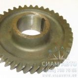 �������� 4-�� �������� ����. ���� XML6720C1 (20358)