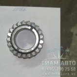 �������� ������� Z = 21/22  [2017280284] (10926)